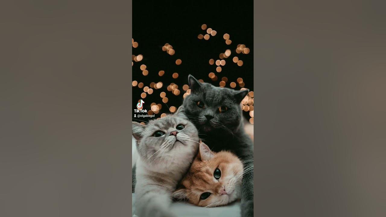 музика сумна - YouTube