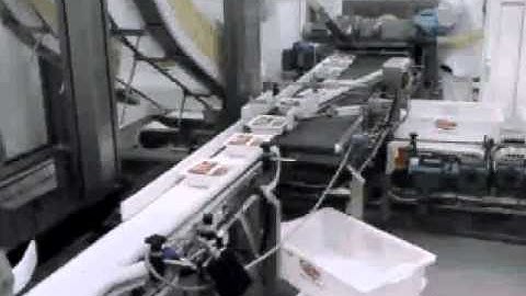 3 to 1 Merge Conveyor