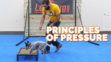 The Principles of Pressure: 2 Day Workshop with Tyler Muto