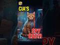 Operation Acoustic Kitty: The CIA's Spy Cat Experiment | Cold War Secrets