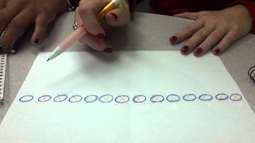 Amanda and Melissa  explain NIM