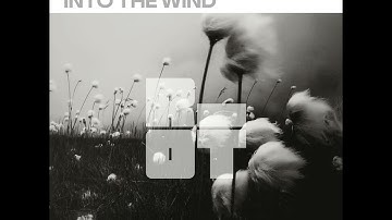 RIOT229 - N.O.B. A - Into The Wind