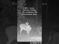 Own 150 Acres in Kentucky’s Elk Zone | Hunting Land w/ Ponds & Views #elkhunting #deerhunting #vibes
