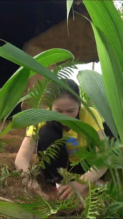 Strong girls.build a house with soil 2. Cô gái mạnh mẽ #survival #camp #relax #camping