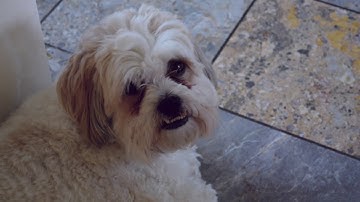 AS photography final piece project