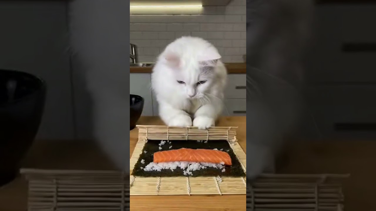 🔥🍳 Animal Cooking Gone WRONG 😭 