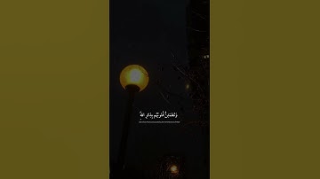 "الذين امنوا وتطمئن قلوبهم بذكر الله" صوت هادئ للقارئ عبدالرحمن مسعد ❤
