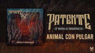 Patentte - Animal con pulgar