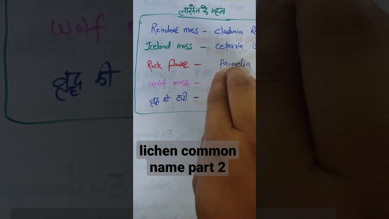 lichens common name part 2 in hindi
