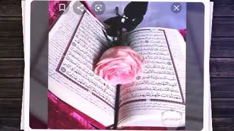 شهادات تقدير😇 مسابقة سورة البقره🎀 4