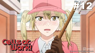 [Hindi Dub] Cells at Work! - Episode 12 (S1E12)  | Muse IN