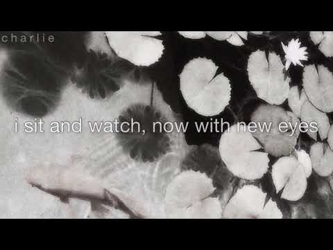 Movements - Daylily lyrics