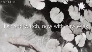 Daylily  Movements slowed  S