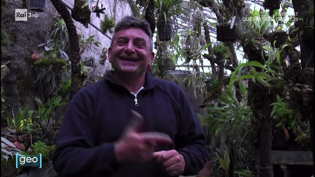 I giardini di Napoli - RAI TRE - GEO