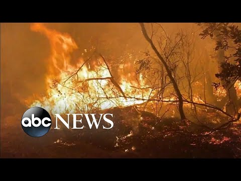 Crews race against time, weather changes to contain Australia fires | ABC News