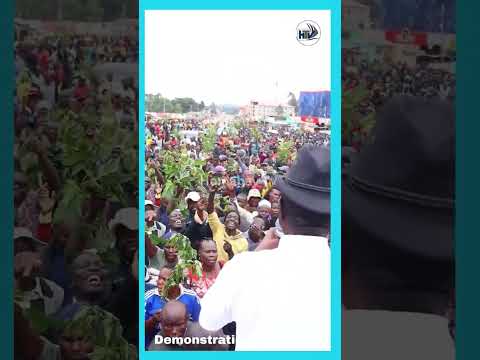 Sabasaba Railaodinga Kenya Kenyabreakingnews Maandamano Indah