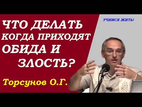 Когда приходят обида и злость. Что делать?  Учимся жить. Торсунов О.Г.