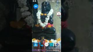 How download bus simulator 2017 for free with game play screenshot 3