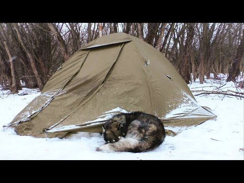 ЗИМНЯЯ РЫБАЛКА С НОЧВКОЙ. ЛЕЩИ КЛЕВАЛИ ДНМ, ШАКАЛЫ ВЫЛИ НОЧЬЮ. Жерлицы в глухозимье.