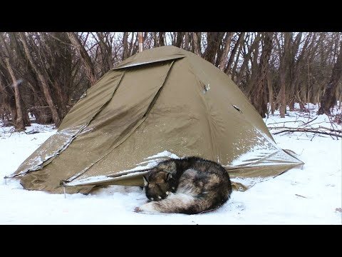 ЗИМНЯЯ РЫБАЛКА С НОЧВКОЙ. ЛЕЩИ КЛЕВАЛИ ДНМ, ШАКАЛЫ ВЫЛИ НОЧЬЮ. Жерлицы в глухозимье.