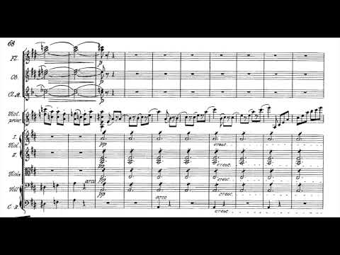 R. Strauss - Violin concerto in D minor op. 8, III mov Rondo (3/3) [SCORE VIDEO]