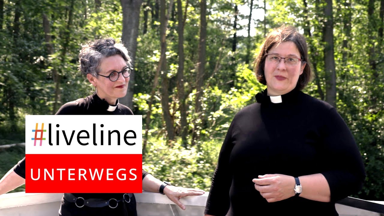 #liveline unterwegs: auf der Wakenitz