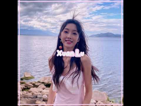 lulu xuan edit | ae free project file