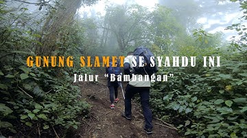 Pendakian Gunung Slamet via Bambangan, Purbalingga. 2023