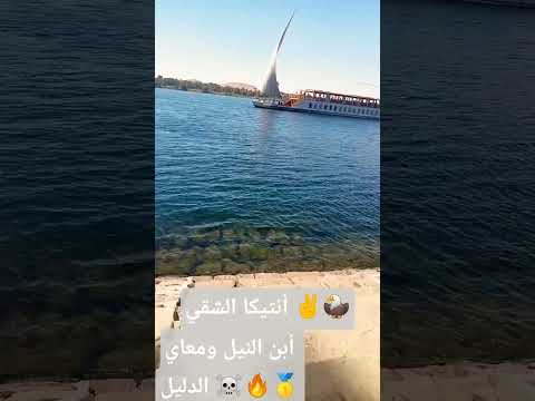 عايزة صبر مش عايزة نبر أمانه أمانه امانه اكسبلور