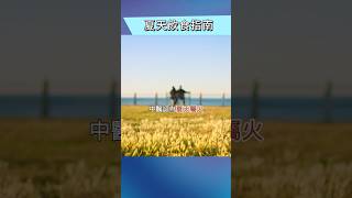 夏天吃什麼最降火養生？