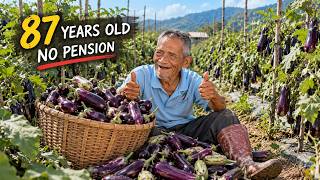 Why Doesn’t Grandpa Hai Have a Pension at 87?