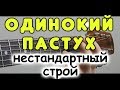 Как волшебно может звучать гитара в нестандартном строе / Одинокий пастух на гитаре