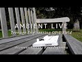 Ambient Music on OP-1 Field | Outdoor Session｜OP-1 Fieldで奏でる野外アンビエント | shizennochikaku