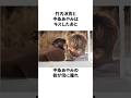 竹内涼真の雑学#雑学 #竹内涼真