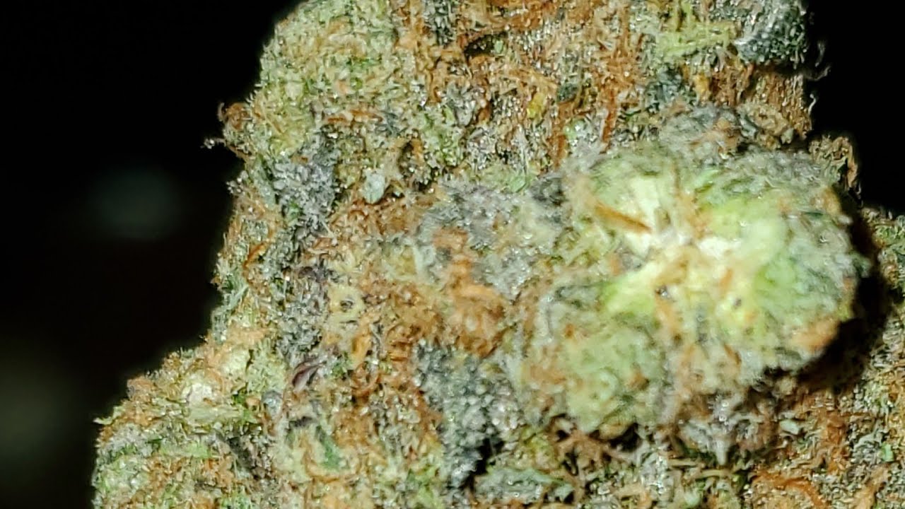 LEMON POUND CAKE STRAIN WAKE AND BAKE STYLE