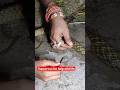 कँहा कँहा काटना पड़ा#viral #short