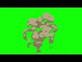 18 Smoke Green Screen VFX Effects