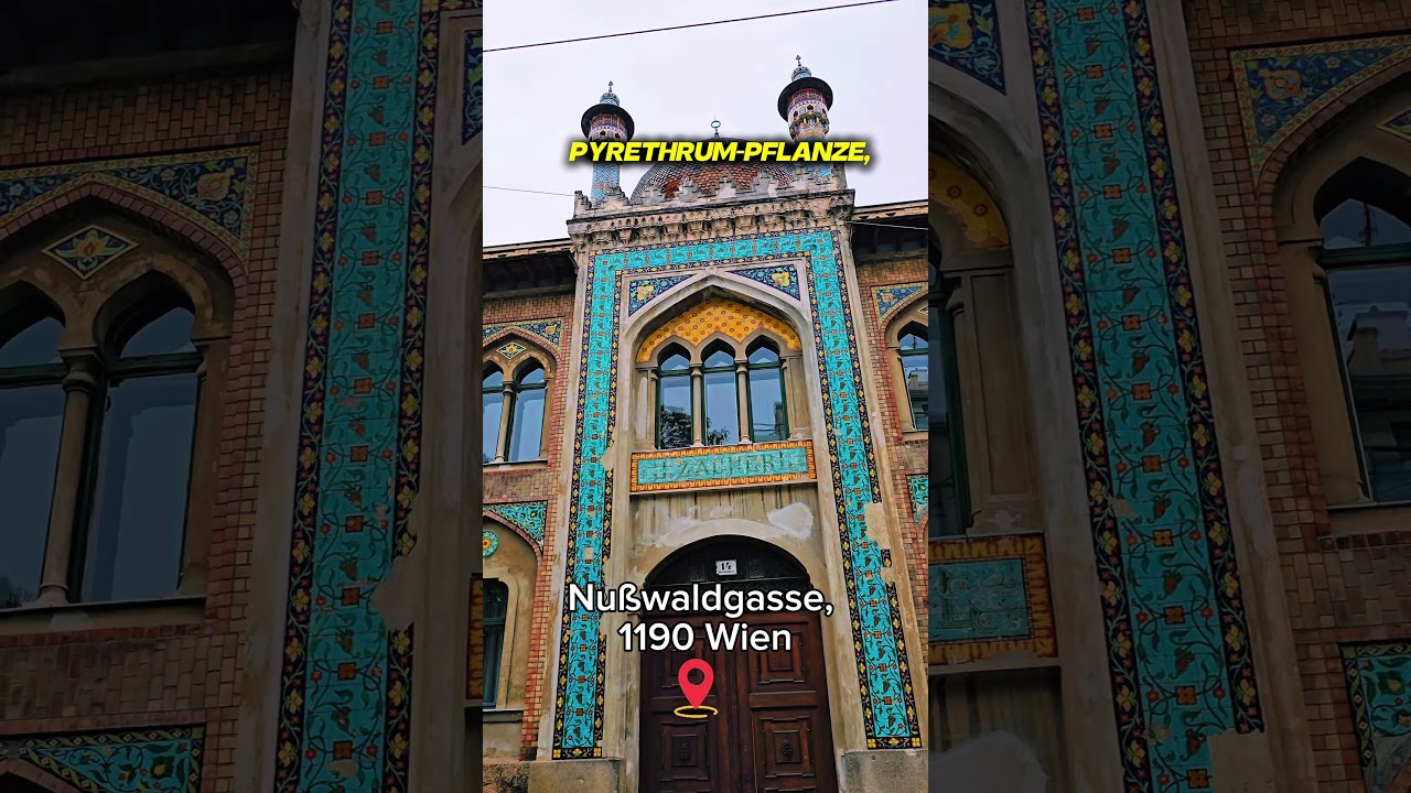 🕌 Zacherlfabrik – Von Insektenpulver zur Kunst 