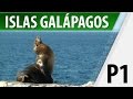 Islas Galápagos / Lugares Turísticos / Parte 1