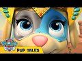 🐶 Mighty Pups, Super Paws: Pups and the Big Twin Trick | PAW Patrol | Cartoons for Kids