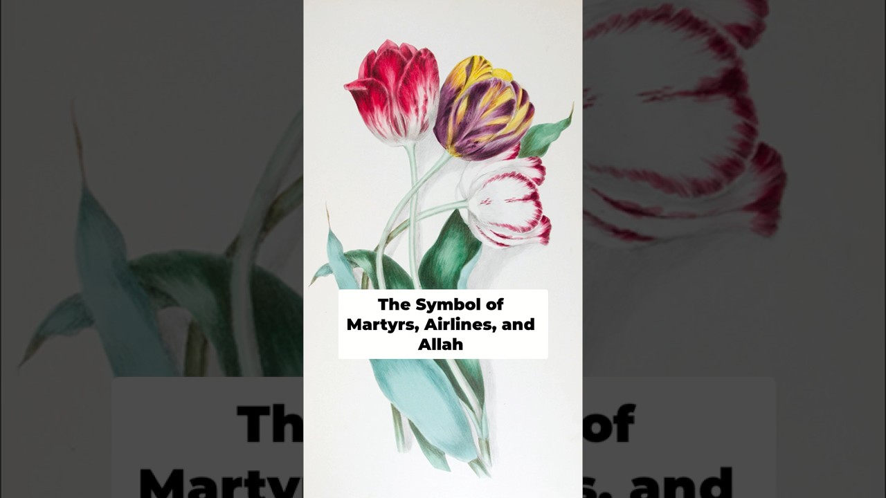 Iran's Tulip  Symbol of Martyrs & Revolution's Echoes