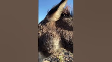 Extreme Closeup