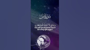 Surah Yaseen - سورة يس‎ -  Hamza Boudib সূরা ইয়া সীন -  القارئ حمزة بوديب