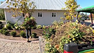Trimming a Topiary, Annual Flower Cleanup & Planting Nepeta! ✂️🥀🌿 // Garden Answer