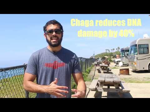 four-sigmatic-review---what-tim-ferriss-didn't-mention-about-mushroom-coffee