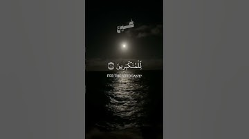 ويوم القيامة ترى الذين كذبوا على الله وجوههم مسودة | علي آل عسكر سورة الزمر #قران_كريم #quran
