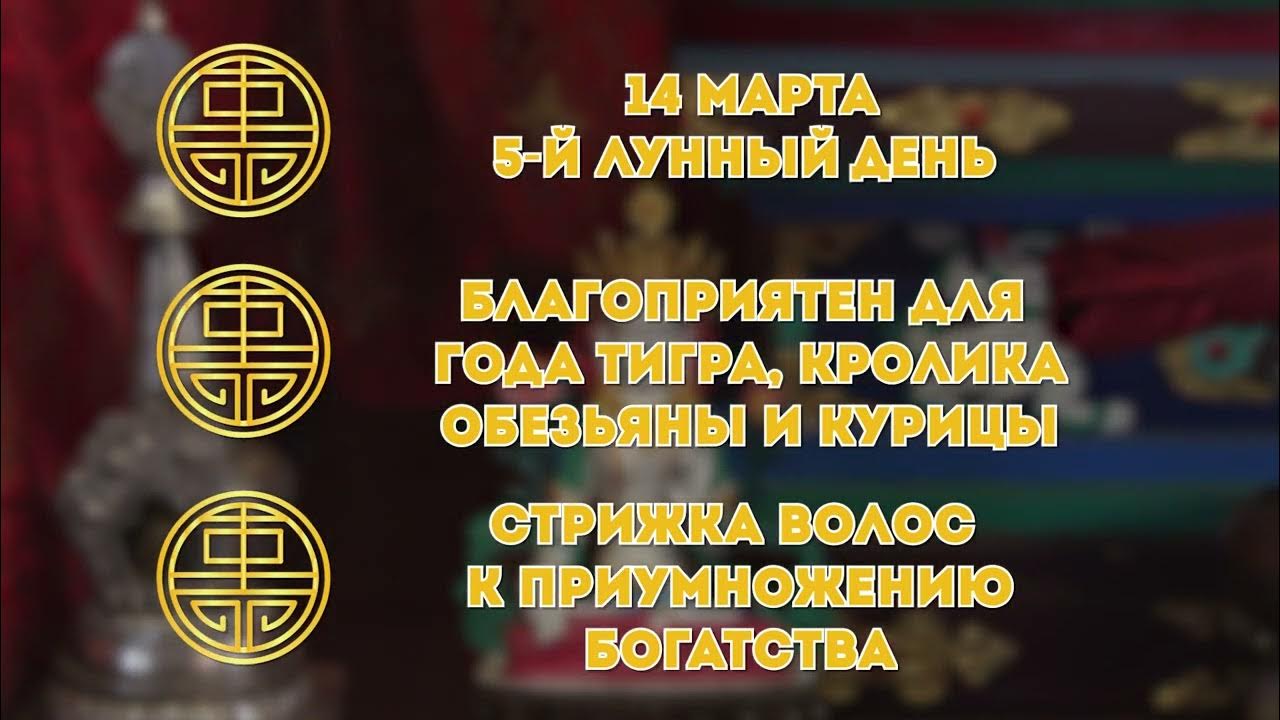 Зурхай стрижка на октябрь 2024