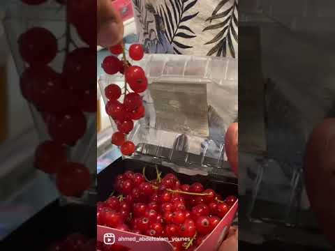 فيديو: هل تأكل الكشمش الأحمر؟