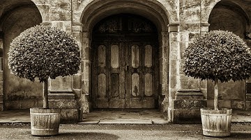 F.M. SARDELLI: Oboe Concerto in G minor, P. Pollastri / Modo Antiquo