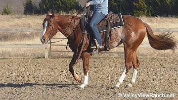 Carmen Merada - gorgeous turns, lope-offs, jog, lead changes! - ValleyViewRanch.net